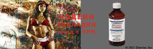 прущие крисы Новозыбков