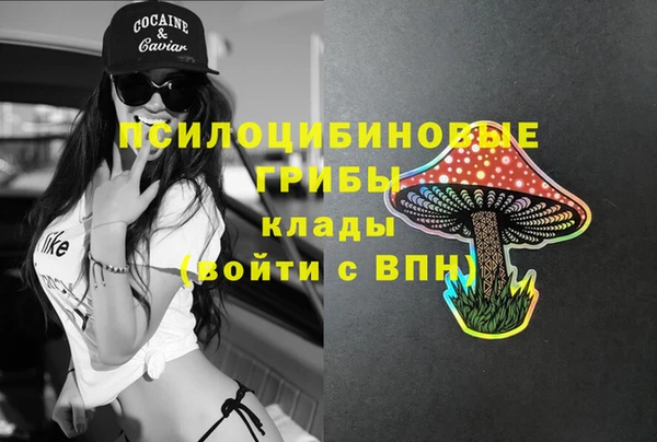 марихуана Новокубанск