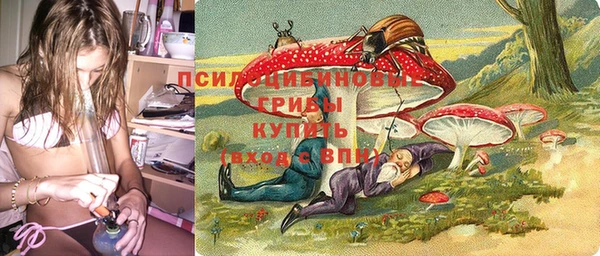 молекула духа Новодвинск